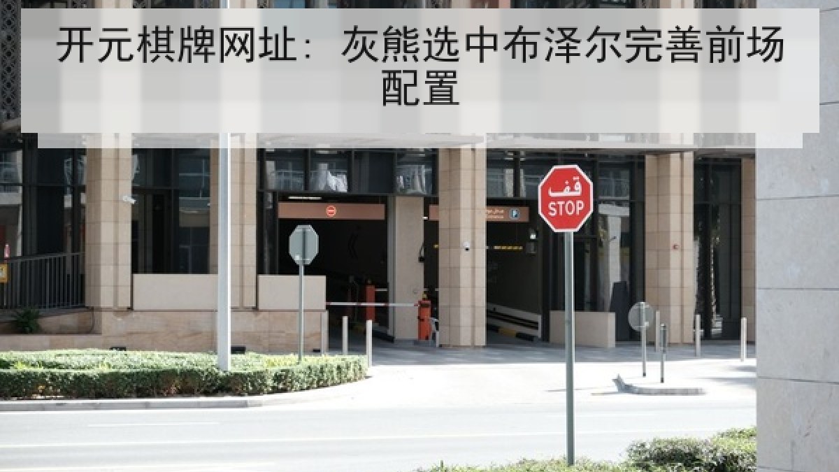 开元棋牌网址: 灰熊选中布泽尔完善前场配置