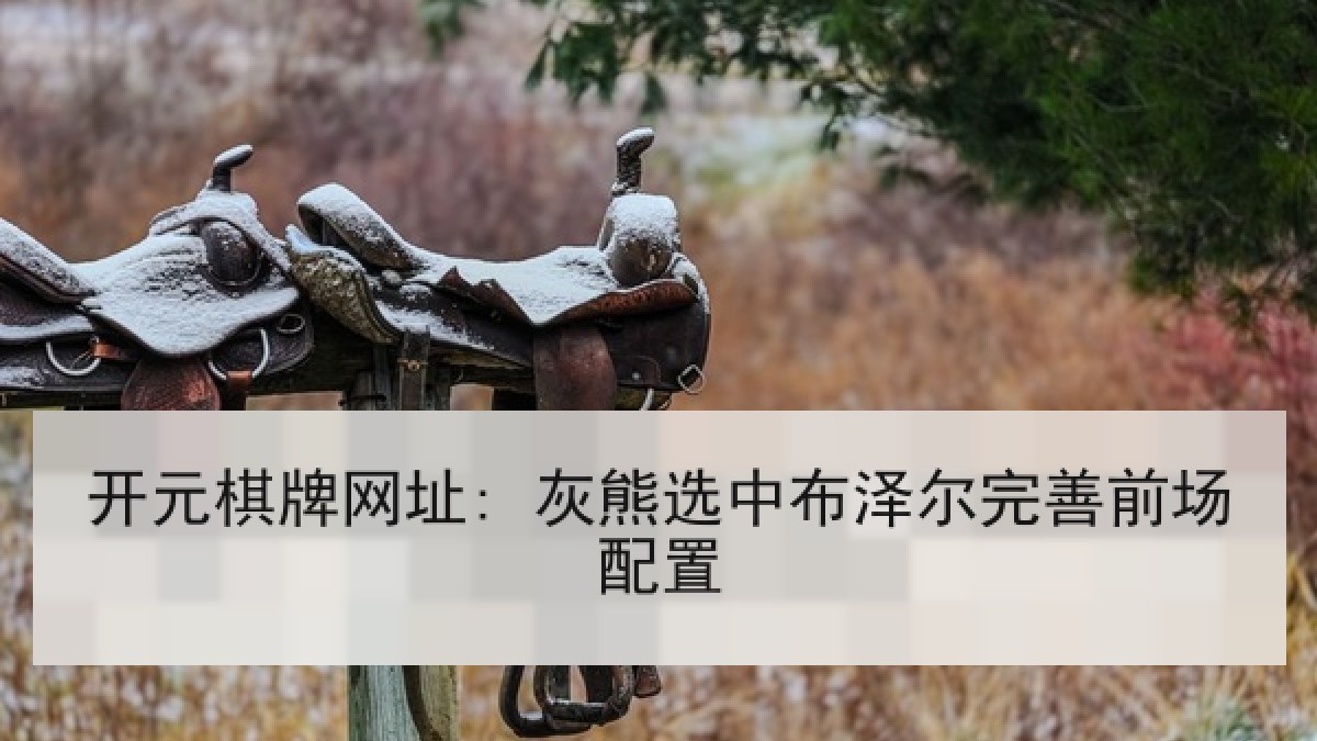 开元棋牌网址: 灰熊选中布泽尔完善前场配置