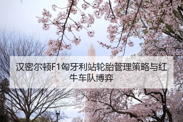 han-mi-er-dun-xiong-ya-li-zhan-lun-tai-guan-li-ce-lve-yu-hong-niu-che-dui-bo-yi-2-926.jpg