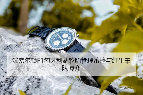 han-mi-er-dun-xiong-ya-li-zhan-lun-tai-guan-li-ce-lve-yu-hong-niu-che-dui-bo-yi-3-369.jpg